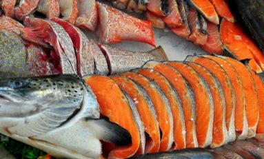 Manfaat ikan salmon untuk ibu hamil