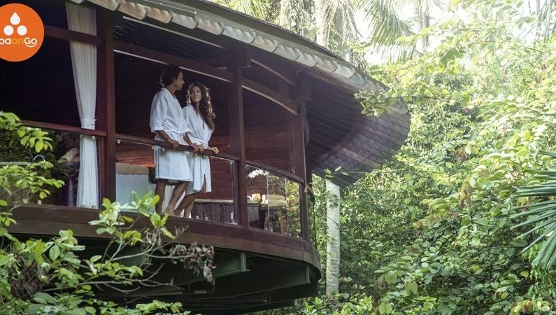SpaOnGo Solusi Pencarian Tempat Spa Terbaik