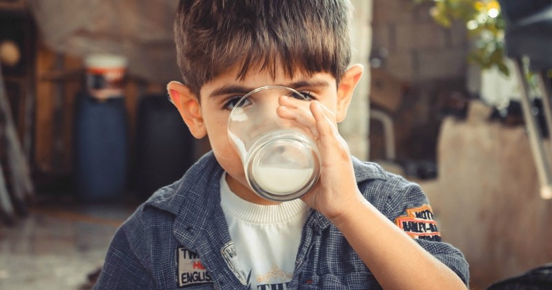 Manfaat Dari Mengonsumsi Susu Untuk Anak 2 Tahun Yang Bagus