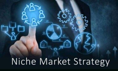 Contoh Niche Market Strategy Berdasarkan Karakteristiknya