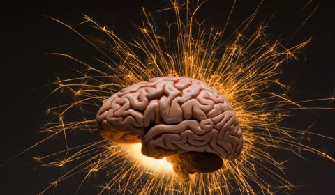 neurosains