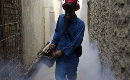 Pest control Singapore untuk nyamuk