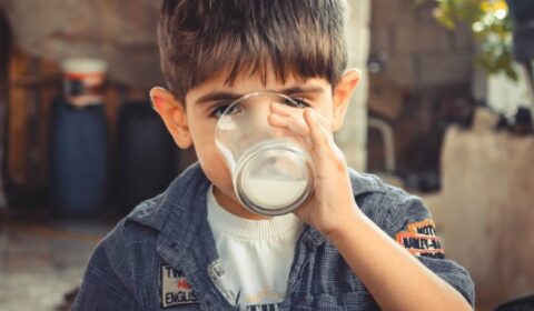 susu untuk anak 2 tahun yang bagus