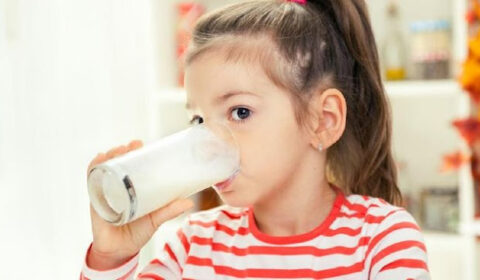 manfaat susu dancow 1-3 tahun