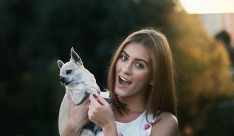 pelihara anjing