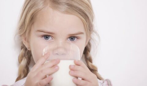 protein dalam susu dancow