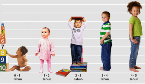 fase perkembangan anak