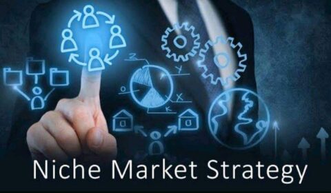 Niche Market Strategy