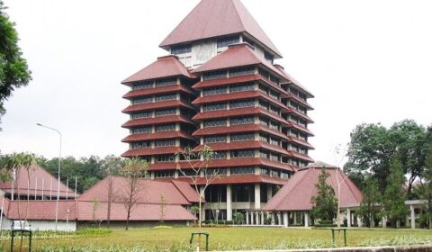 International University