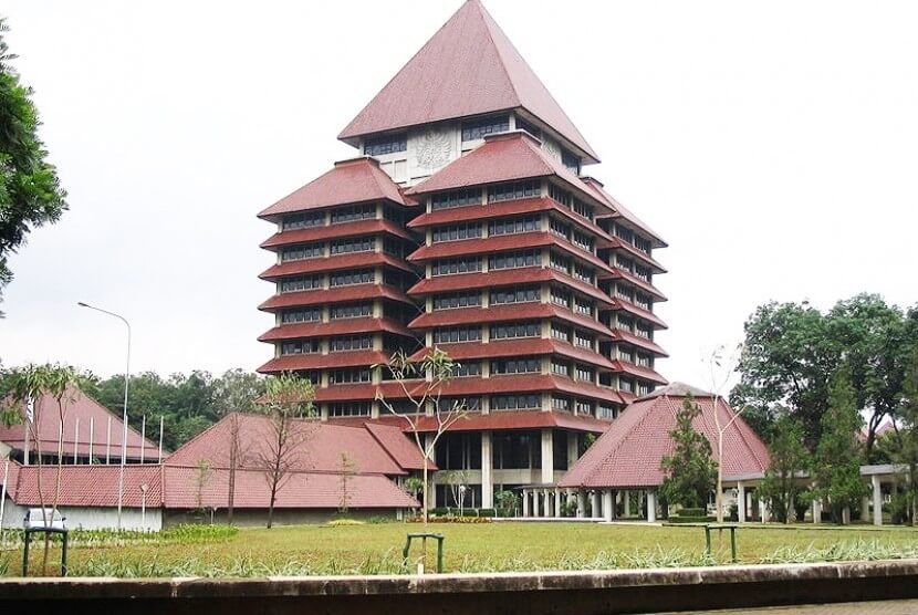International University
